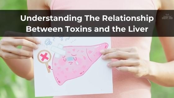 Understanding The Relationship Between Toxins and the Liver