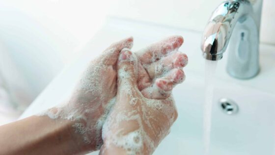 Keep Clean, Stay Healthy: The Importance of Handwashing During the Holiday Season